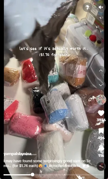TEMU creator demonstrating products in short-form content